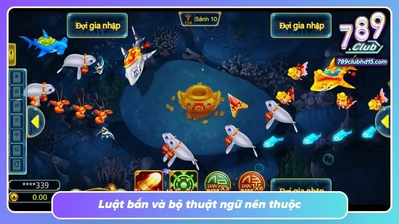 Thông tin chuyên dụng giúp người mới hiểu rõ từng chức năng