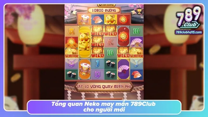 Mèo thần tài xuất hiện giữa những cuộn quay với sắc màu may mắn