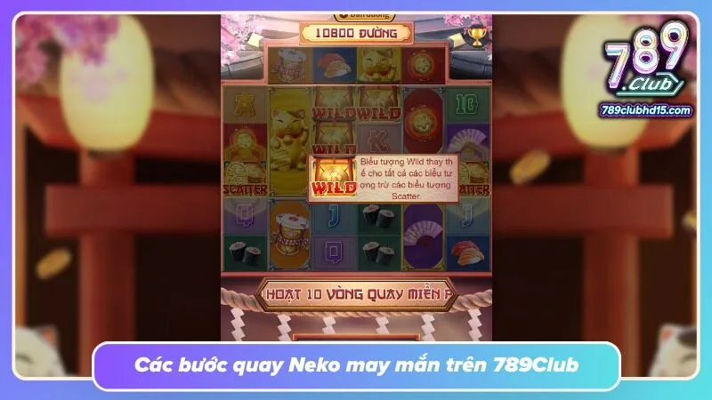 Khu vực điều chỉnh tiền cược được đặt ngay cạnh nút Spin nổi bật